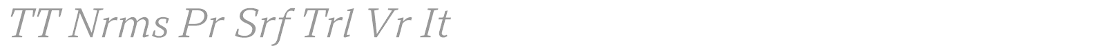 TT Norms Pro Serif font preview